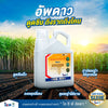 อัพดาว (ไกลโฟเซต-ไอโซโพรพิลแอมโมเนีย) ขนาด 4 ลิตร กำจัดวัชพืช