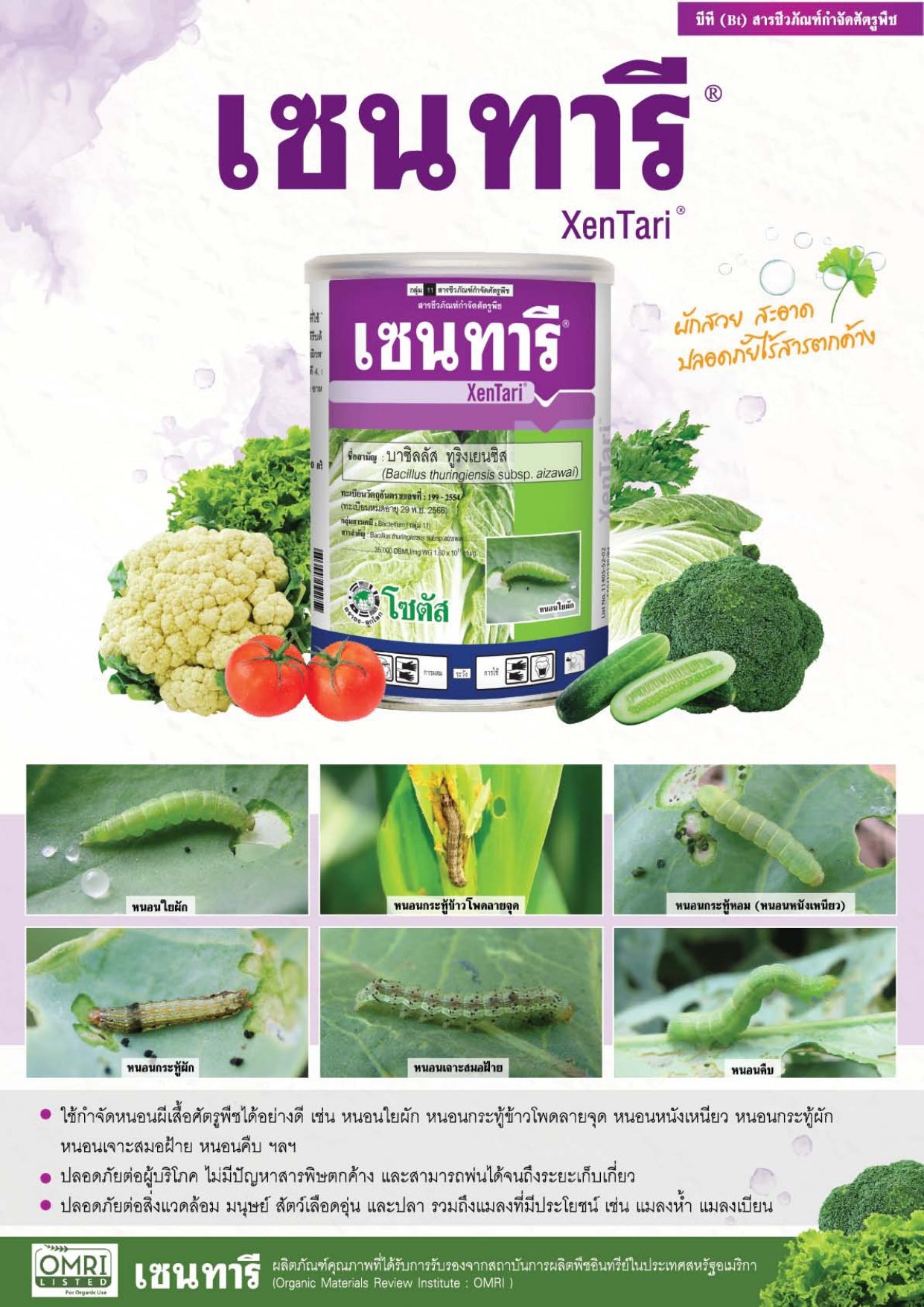 เซนทารี ขนาด 500 กรัม