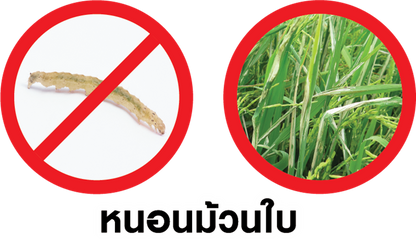 ริดอิท ขนาด 250cc