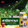 ดานิซาราบา ขนาด 500cc