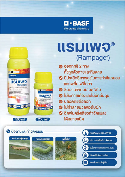 แรมเพจ ขนาด 250cc