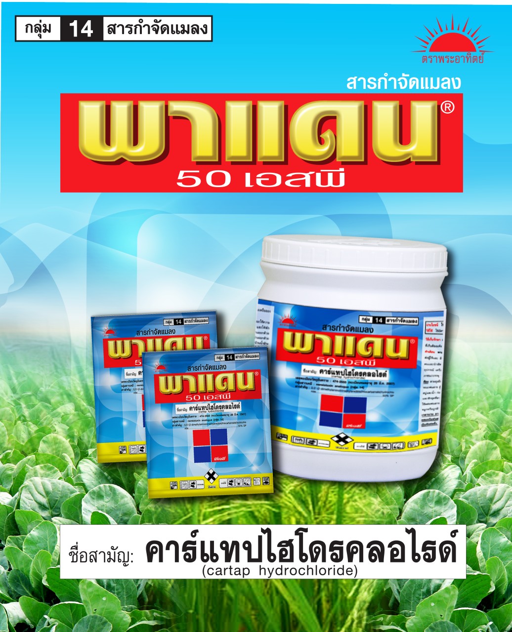 พาแดน ขนาด 100 กรัม