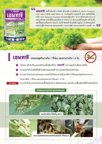เซนทารี ขนาด 500 กรัม