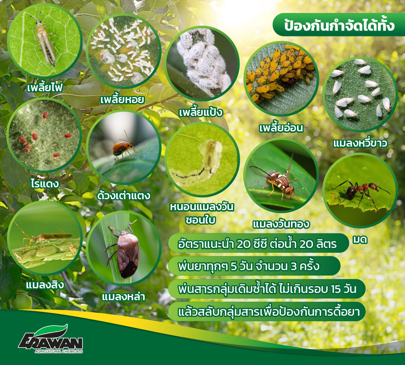 เอรามอล 83 ขนาด 1 ลิตร