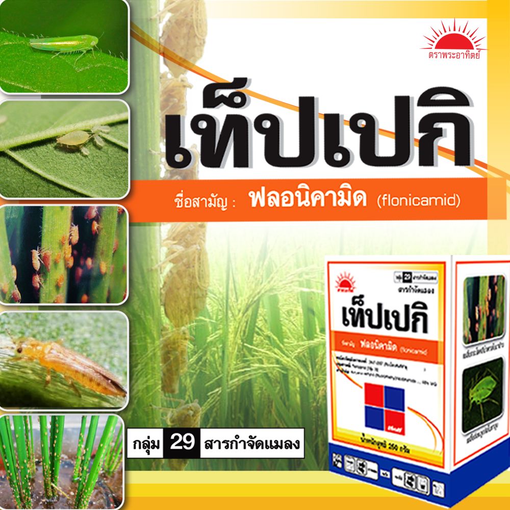 เท็ปเปกิ ขนาด 50 กรัม