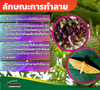 เอราโพรทริน ขนาด 1 ลิตร