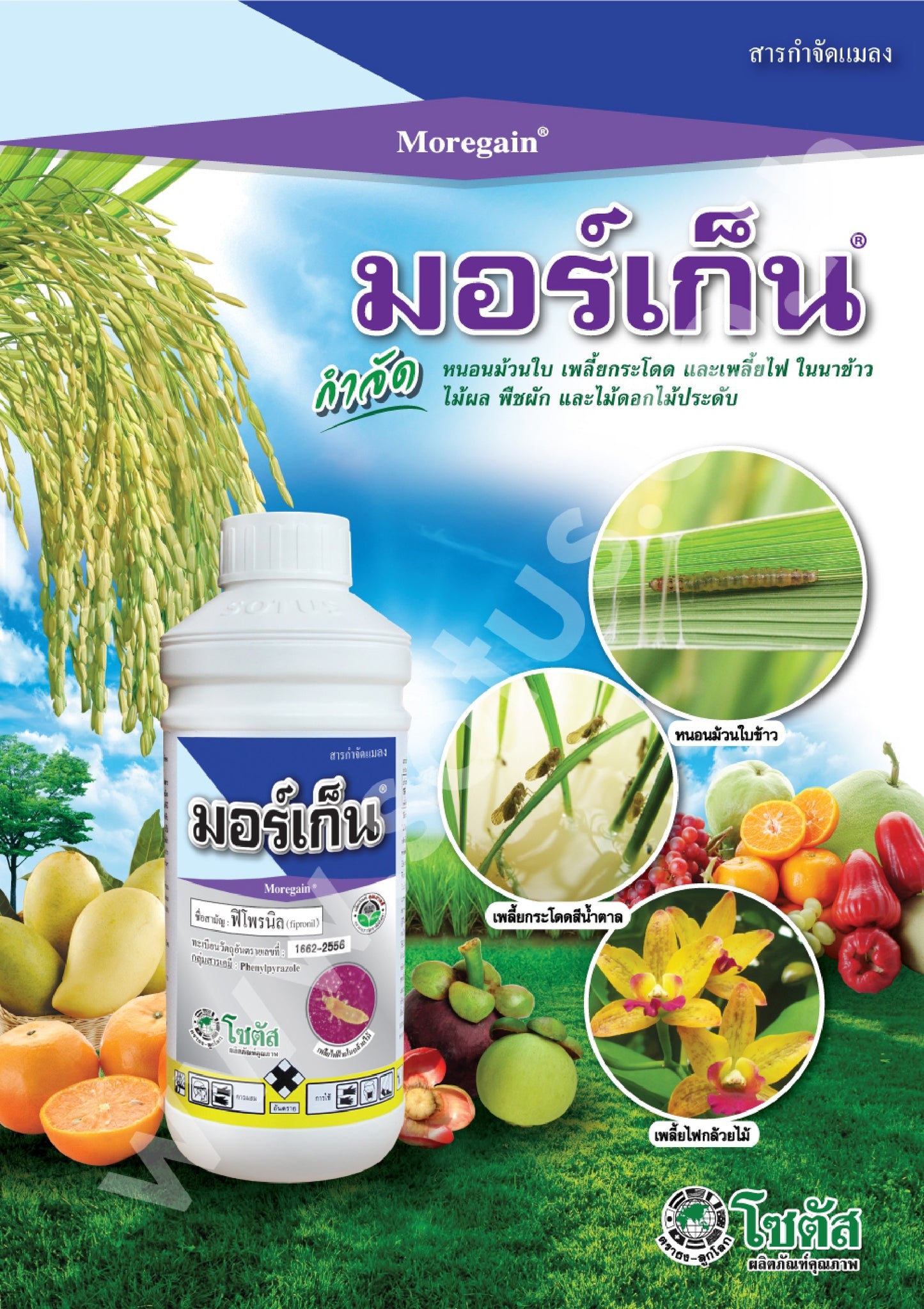 มอร์เก็น ขนาด 1 ลิตร