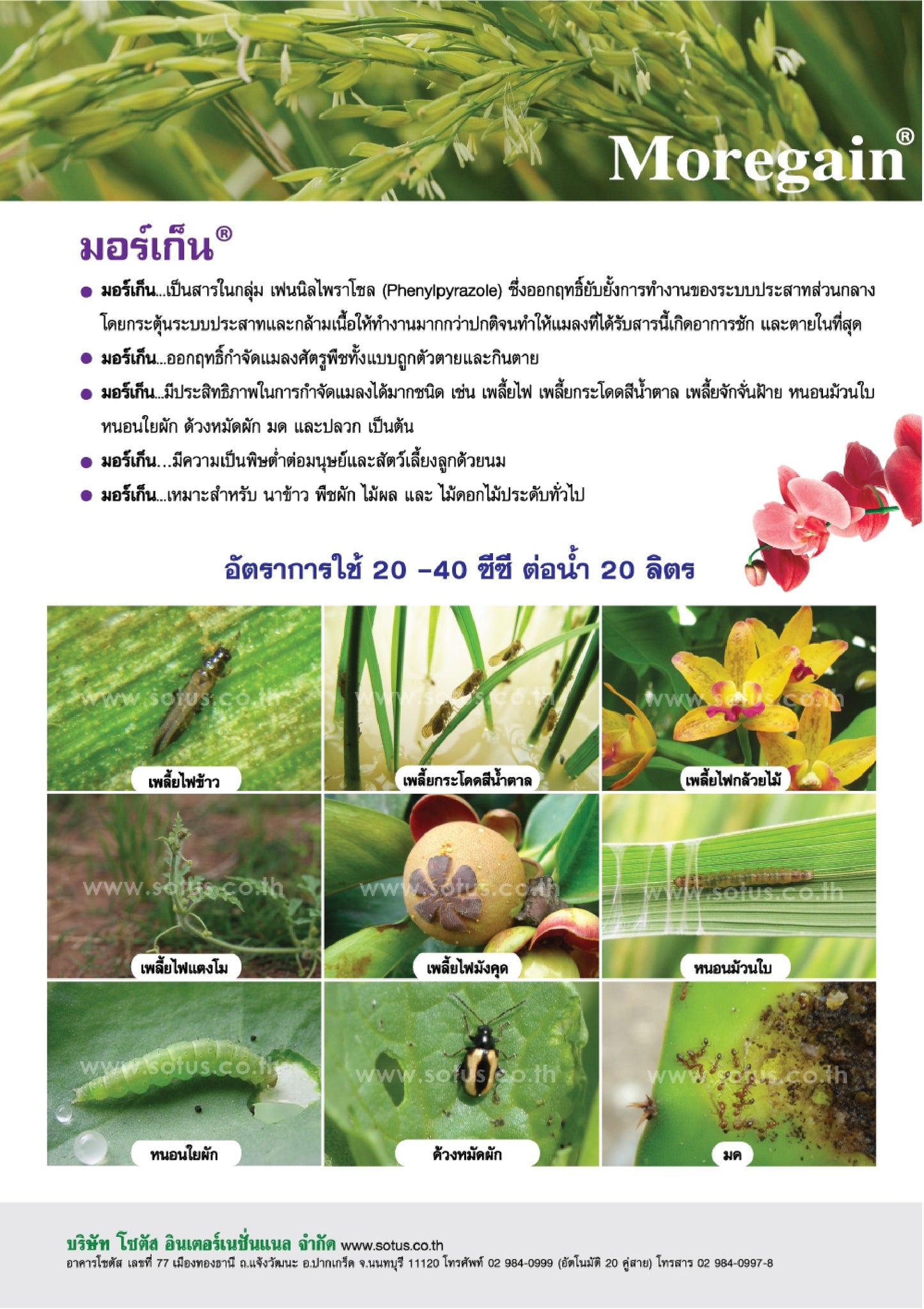 มอร์เก็น ขนาด 1 ลิตร