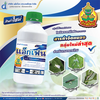 แอ็กเฟน ขนาด 1 ลิตร