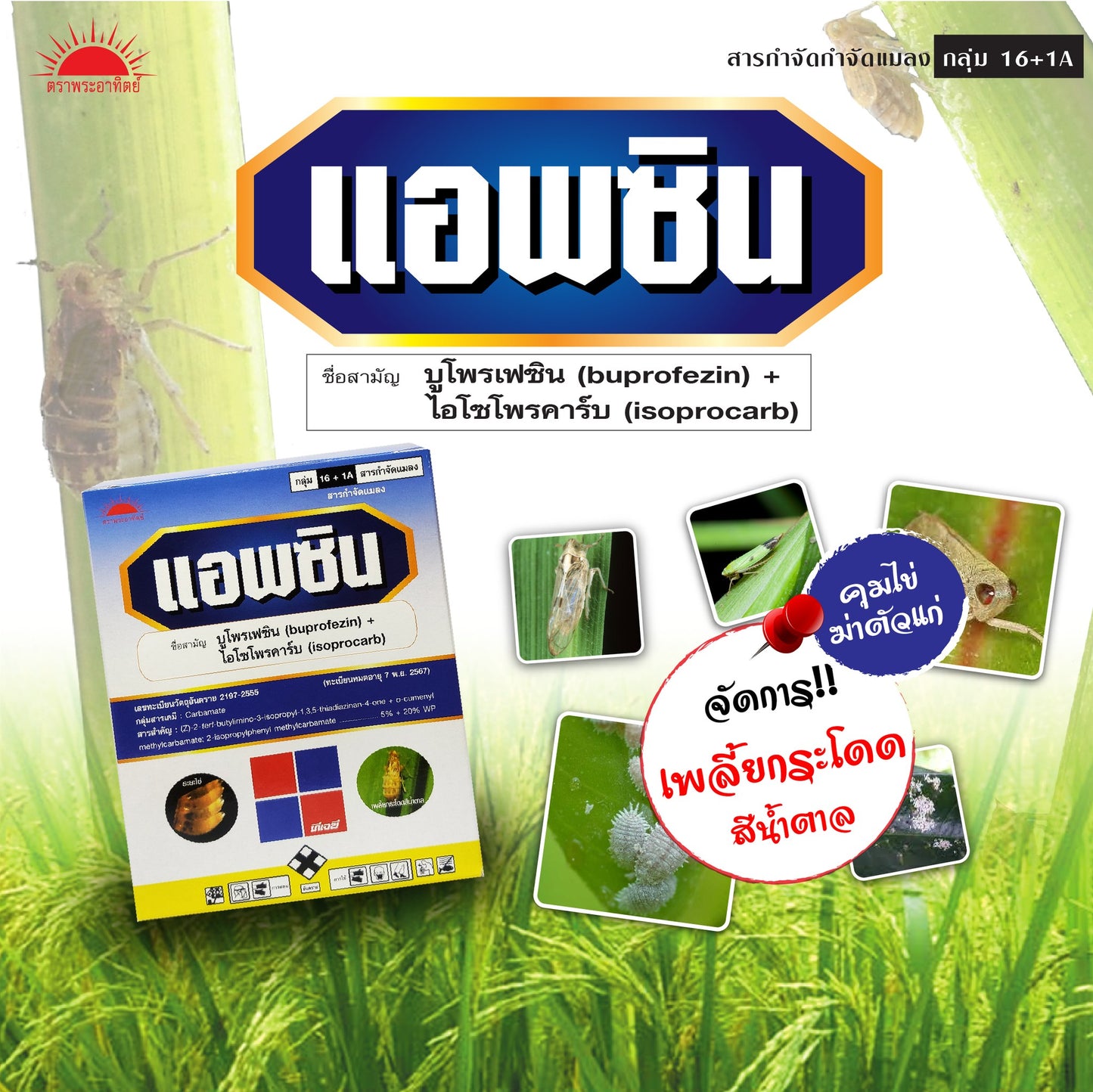 แอพซิน ขนาด 1 กิโกรัม