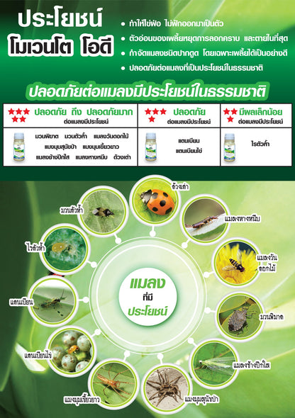 โมเวนโต โอดี ขนาด 250cc