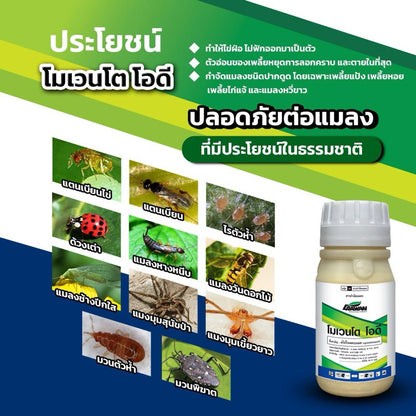 โมเวนโต โอดี ขนาด 250cc