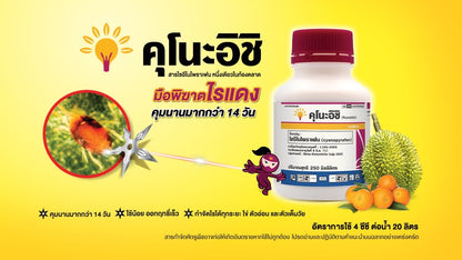 คุโนะอิชิ ขนาด 250cc
