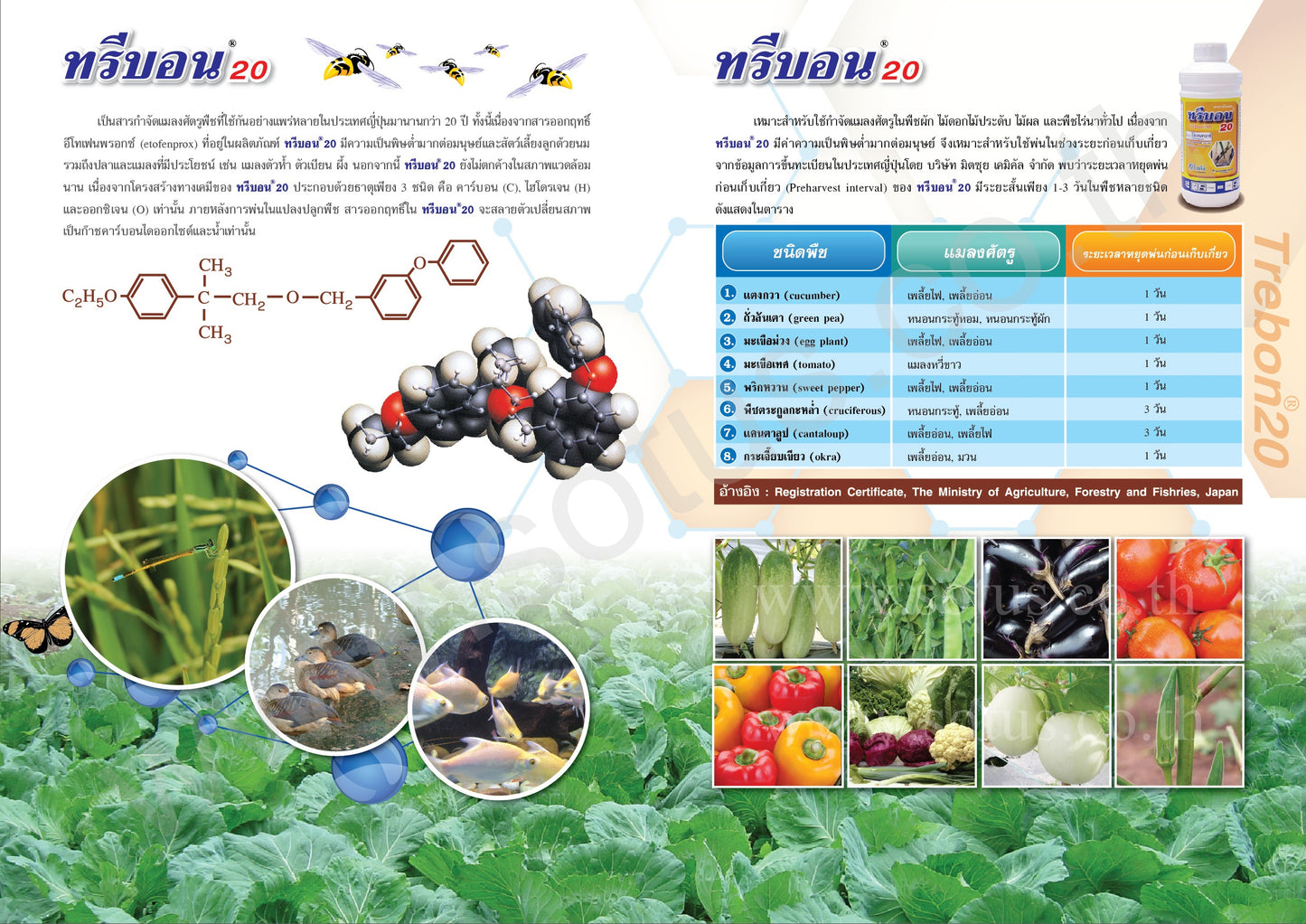 ทรีบอน 20 ขนาด 1 ลิตร