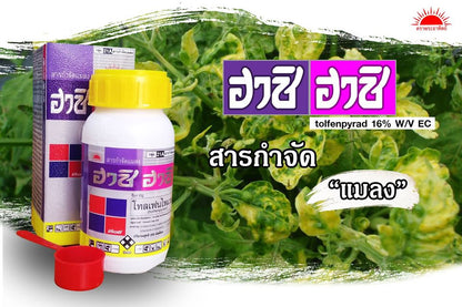 ฮาชิ-ฮาชิ ขนาด 250cc