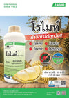 โรไมท์ ขนาด 1 ลิตร