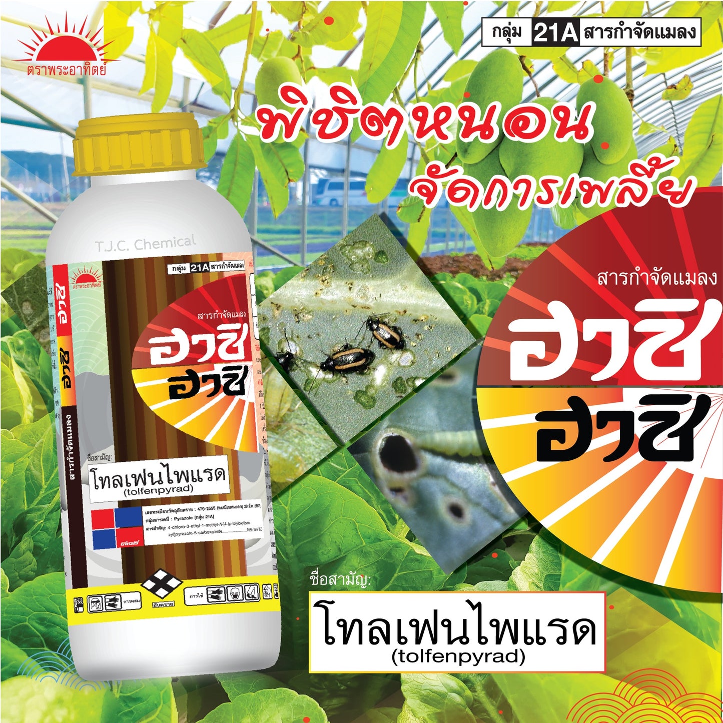 ฮาชิ-ฮาชิ ขนาด 250cc