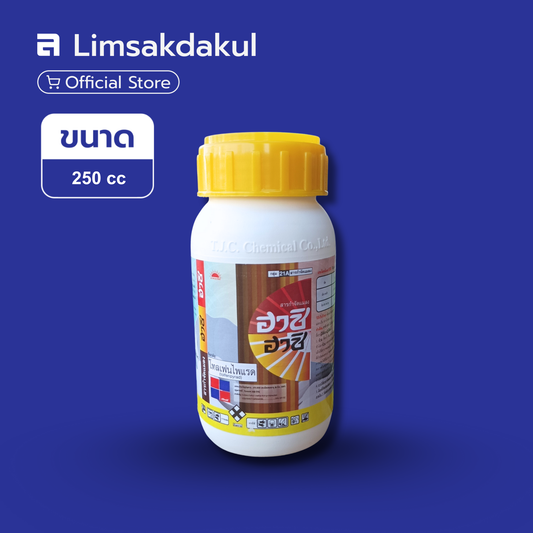 ฮาชิ-ฮาชิ ขนาด 250cc