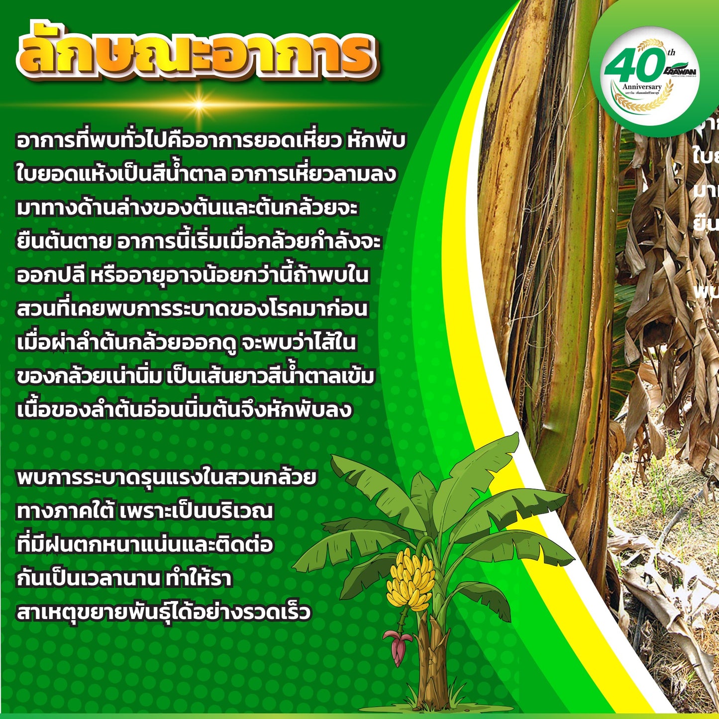 เอราโนมิล 1 กิโลกรัม
