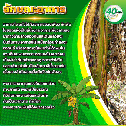 เอราโนมิล 1 กิโลกรัม