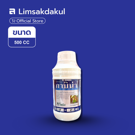กาบิน่า ขนาด 500cc