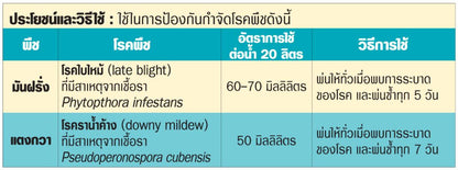 โฟลิโอโกลด์ ขนาด 500cc