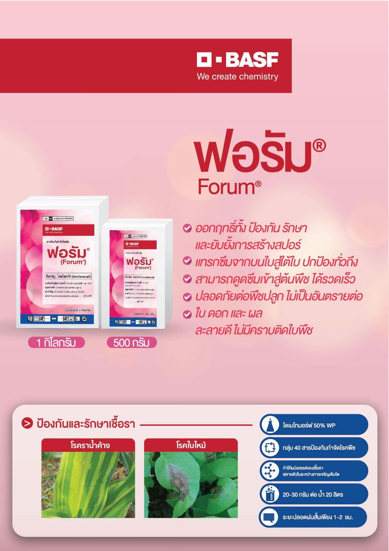 ฟอรัม ขนาด 1 กิโลกรัม