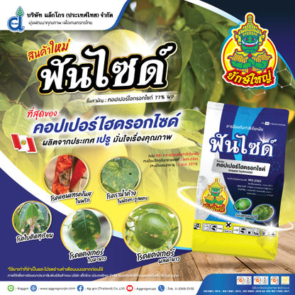 ฟันไซด์ ขนาด 1 กิโลกรัม