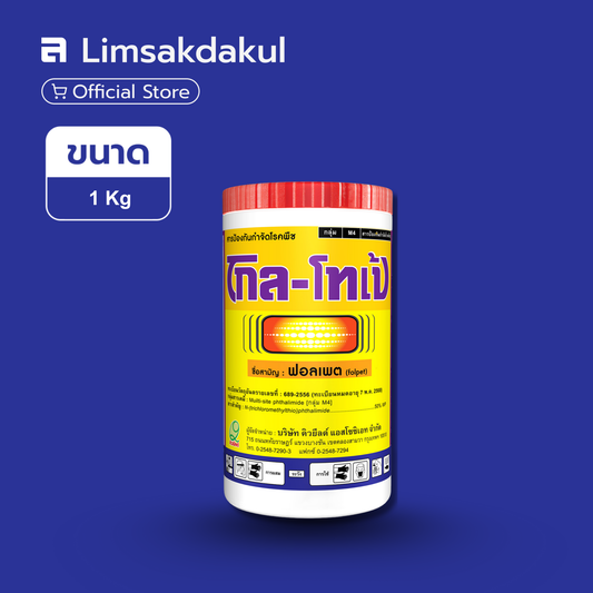 โกลโทเป้ ขนาด 1 กิโลกรัม