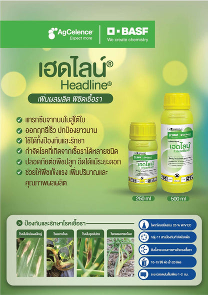 เฮดไลน์ ขนาด 500cc