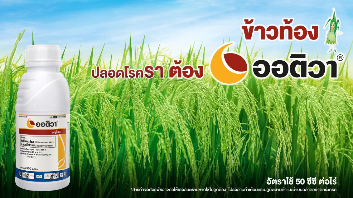 ออติวา ขนาด 500cc
