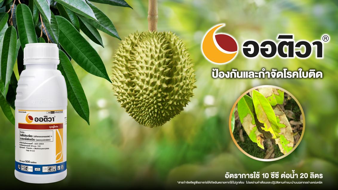 ออติวา ขนาด 500cc