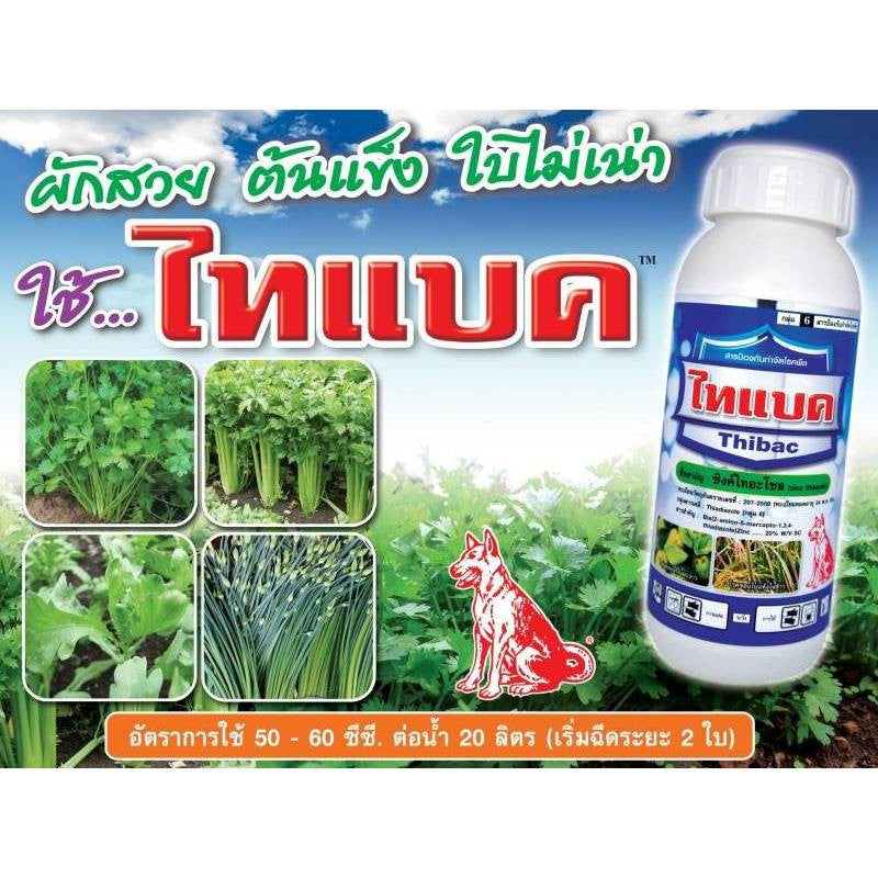 ไทแบค ขนาด 500cc