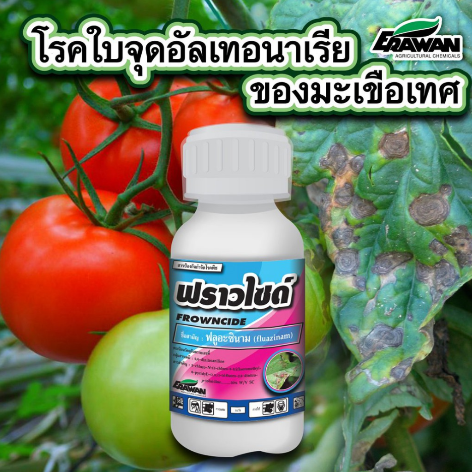 ฟราวไซด์ ขนาด 100cc
