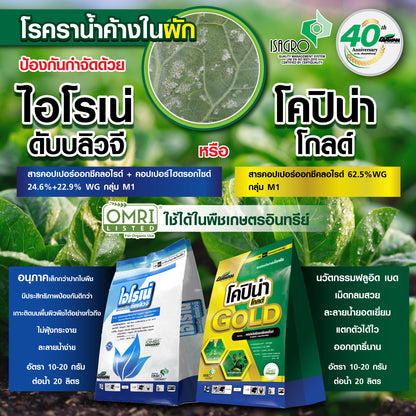 ไอโรเน่ ดับบลิวจี ขนาด 1 กิโลกรัม