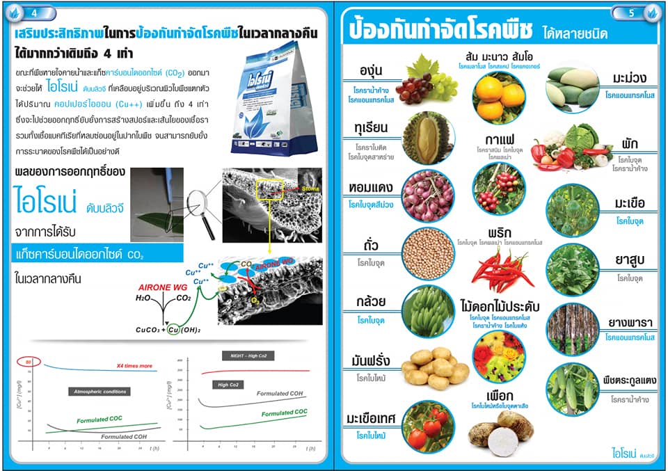ไอโรเน่ ดับบลิวจี ขนาด 1 กิโลกรัม