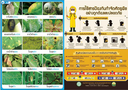 ไอโรเน่ ดับบลิวจี ขนาด 1 กิโลกรัม