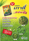 เกาดี้ ขนาด 10 กรัม *10 ซอง