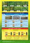 เกาดี้ ขนาด 10 กรัม *10 ซอง