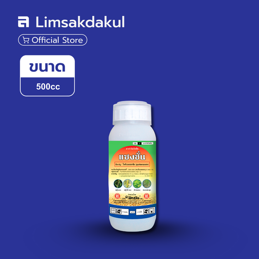 แซงชั่น ขนาด 500cc