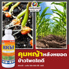 เบติส ขนาด 1 ลิตร