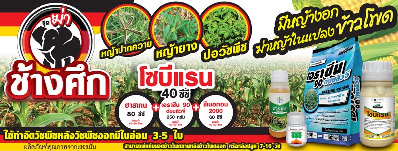 ชุดช้างศึกฆ่า + ATZ 1 ชุด