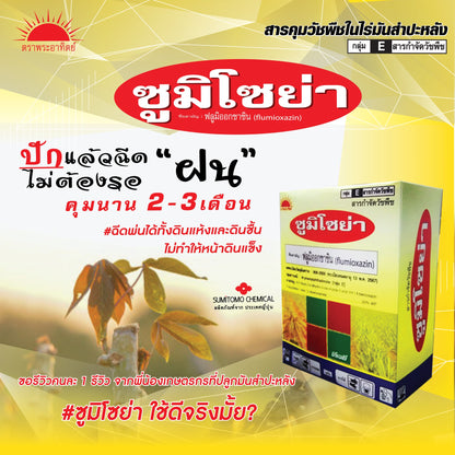 ซูมิโซย่า ขนาด 100 กรัม