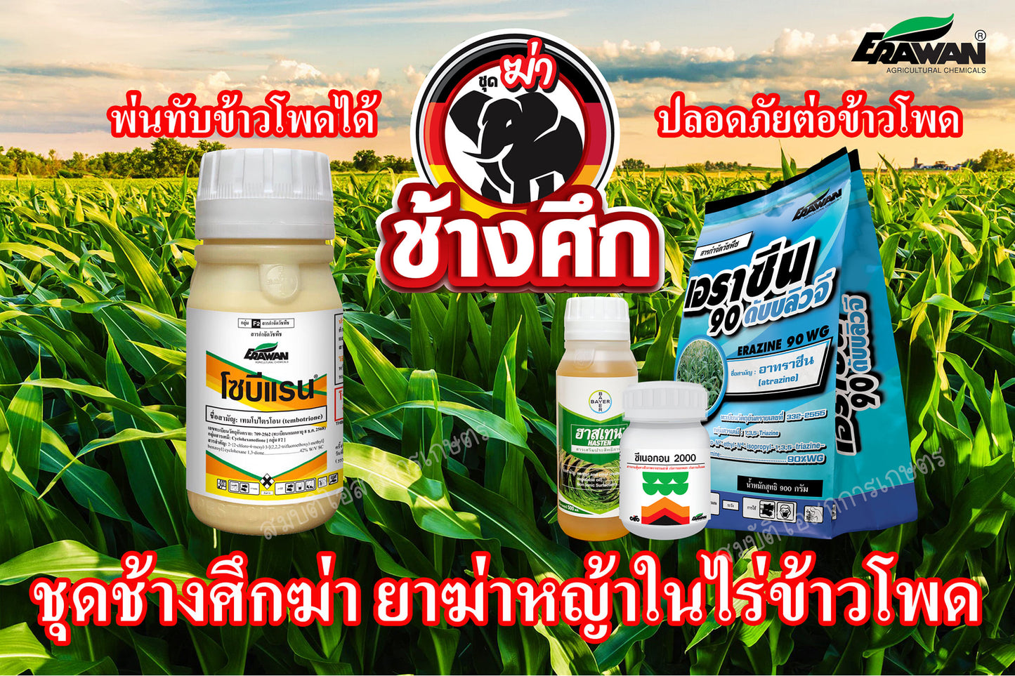 ชุดช้างศึกฆ่า + ATZ 1 ชุด