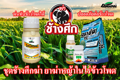 ชุดช้างศึกฆ่า + ATZ 1 ชุด