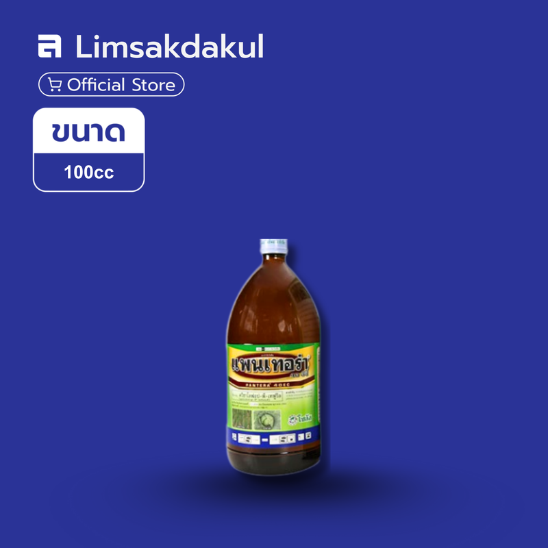 แพนเทอร์ร่า ขนาด 100cc