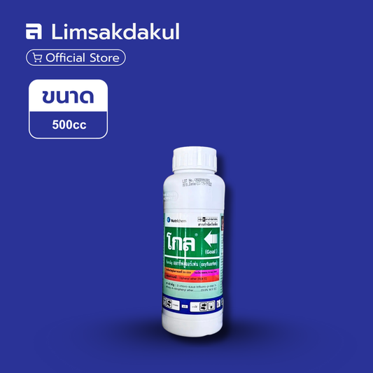 โกล 2 อี ขนาด 500cc