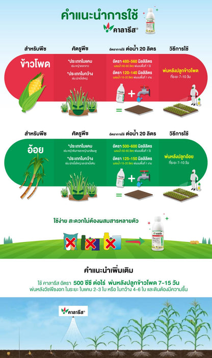 คาลารีส ขนาด 4 ลิตร
