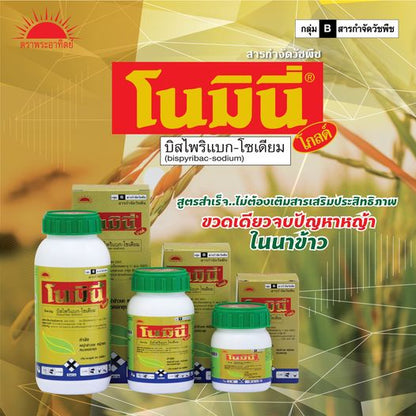 โนมินี่ โกลด์ ขนาด 100cc