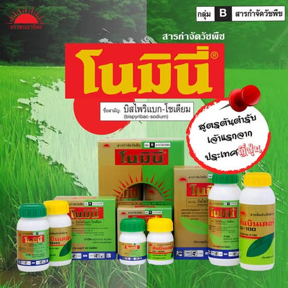 โนมินี่ โกลด์ ขนาด 100cc